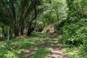 Playa Pelada Large Property