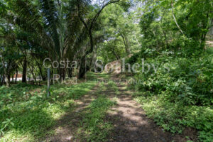 Playa Pelada Large Property