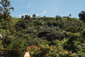 Ocean View San Mateo Home