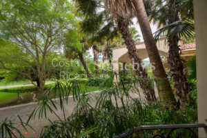 Quite Possibly the True Dream Home, Escazú