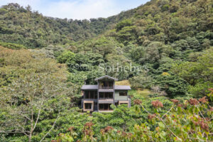El Silencio Forest Luxe Retreat