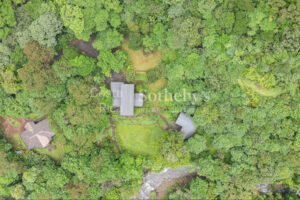 El Silencio Forest Luxe Retreat