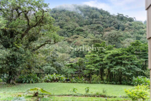 El Silencio Forest Luxe Retreat