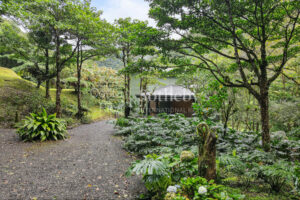 El Silencio Forest Luxe Retreat