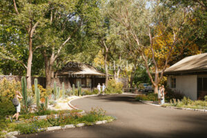 Amazing Lot within Hacienda Pinilla