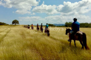 Amazing Lot within Hacienda Pinilla