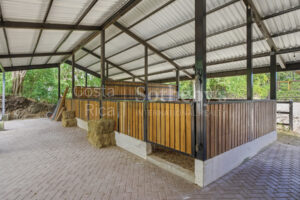 Pavones Family Ranch