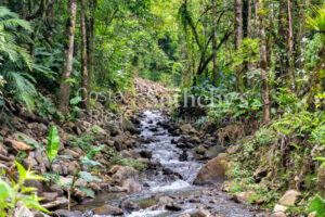 Hacienda Ecológica Río Toro