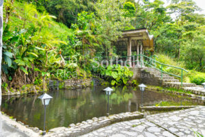 Hacienda Ecológica Río Toro