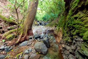 Ocean-View with Dual Water Sources – Private Water Well Concession & Public Wate