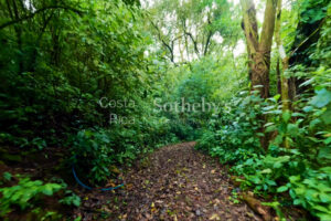 Ocean-View with Dual Water Sources – Private Water Well Concession & Public Wate