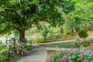 Ocean-View with Dual Water Sources – Private Water Well Concession & Public Wate