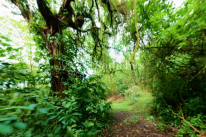 Ocean-View with Dual Water Sources – Private Water Well Concession & Public Wate