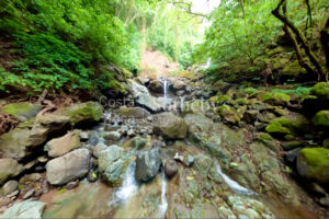 Ocean-View with Dual Water Sources – Private Water Well Concession & Public Wate