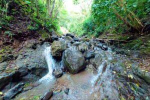 Ocean-View with Dual Water Sources – Private Water Well Concession & Public Wate
