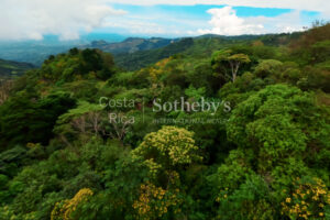 Ocean-View with Dual Water Sources – Private Water Well Concession & Public Wate