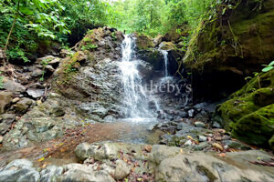 Ocean-View with Dual Water Sources – Private Water Well Concession & Public Wate