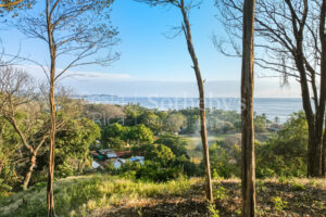Front-Row Pacific Views