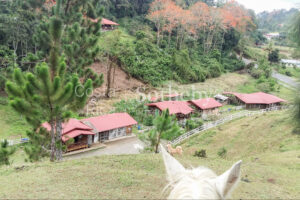 300ha+ Finca Turística Turrialba