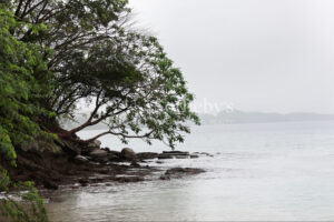 1000+ Ecologically Pristine Acres with Beachfront, Existing House and Staff Quar