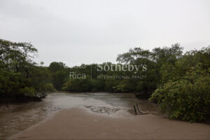1000+ Ecologically Pristine Acres with Beachfront, Existing House and Staff Quar