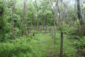 1000+ Ecologically Pristine Acres with Beachfront, Existing House and Staff Quar