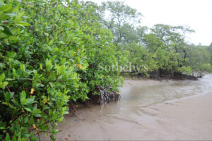1000+ Ecologically Pristine Acres with Beachfront, Existing House and Staff Quar
