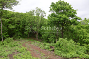 1000+ Ecologically Pristine Acres with Beachfront, Existing House and Staff Quar