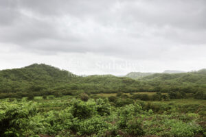 1000+ Ecologically Pristine Acres with Beachfront, Existing House and Staff Quar