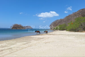 1000+ Ecologically Pristine Acres with Beachfront, Existing House and Staff Quar