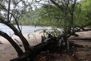 1000+ Ecologically Pristine Acres with Beachfront, Existing House and Staff Quar