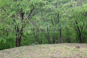 1000+ Ecologically Pristine Acres with Beachfront, Existing House and Staff Quar