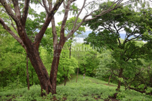 1000+ Ecologically Pristine Acres with Beachfront, Existing House and Staff Quar