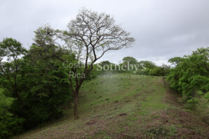 1000+ Ecologically Pristine Acres with Beachfront, Existing House and Staff Quar