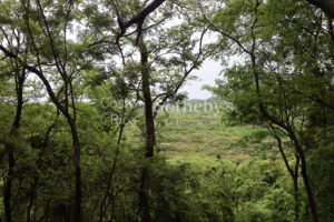 1000+ Ecologically Pristine Acres with Beachfront, Existing House and Staff Quar