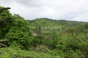 1000+ Ecologically Pristine Acres with Beachfront, Existing House and Staff Quar