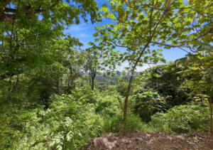 Clara Vista Land Las Huacas