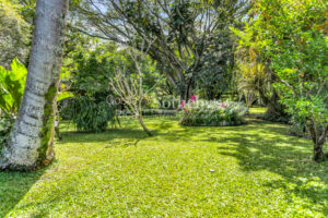 Garden Haven