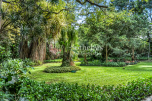 Garden Haven