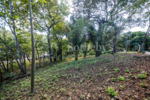 Don’t Miss Your Chance! Playa Pelada $150,000