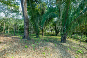 Don’t Miss Your Chance! Playa Pelada $150,000