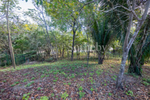 Don’t Miss Your Chance! Playa Pelada $150,000