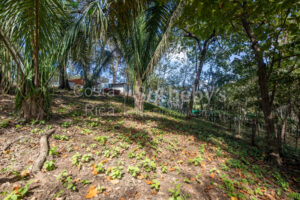 Don’t Miss Your Chance! Playa Pelada $150,000
