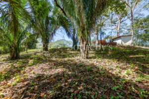 Don’t Miss Your Chance! Playa Pelada $150,000