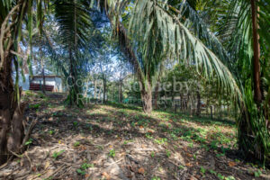 Don’t Miss Your Chance! Playa Pelada $150,000