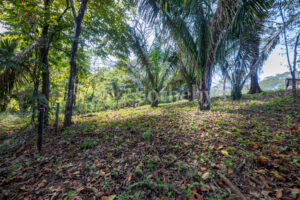Don’t Miss Your Chance! Playa Pelada $150,000