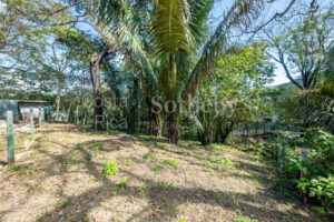 Don’t Miss Your Chance! Playa Pelada $150,000
