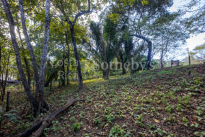 Don’t Miss Your Chance! Playa Pelada $150,000