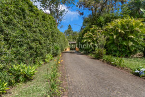 Exclusive House in San Rafael