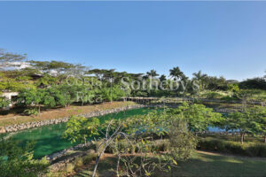 Lake Front Villa in Pinilla